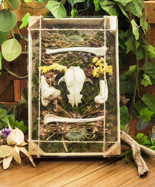 Framed nature